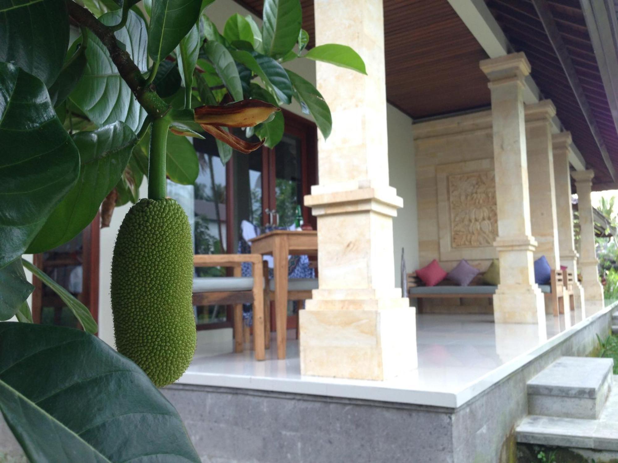 Masia Villa Ubud Exteriör bild