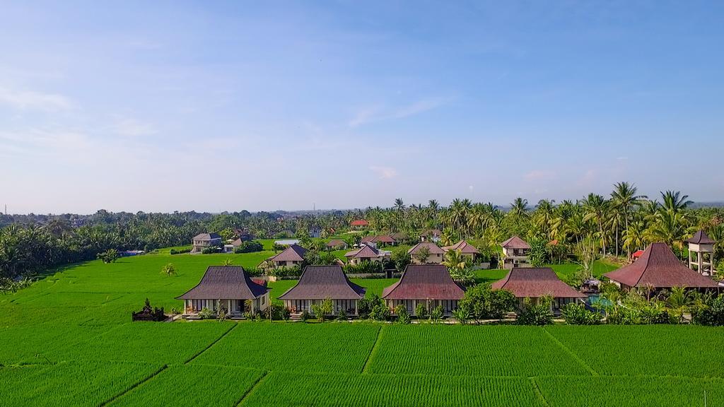 Masia Villa Ubud Exteriör bild