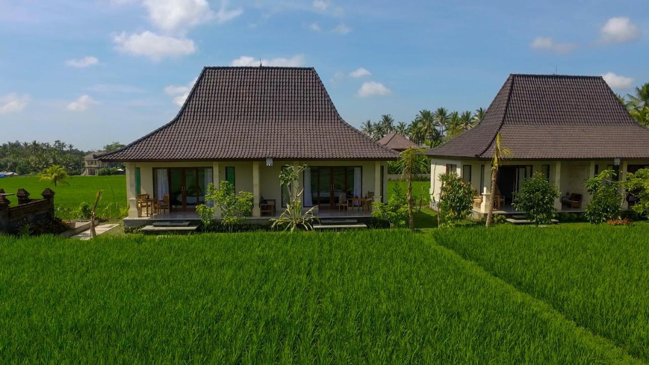 Masia Villa Ubud Exteriör bild